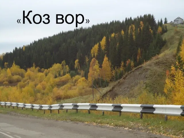 «Коз вор»