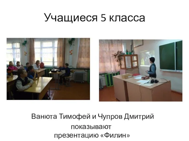 Учащиеся 5 класса Ванюта Тимофей и Чупров Дмитрий показывают презентацию «Филин»
