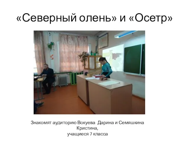 «Северный олень» и «Осетр» Знакомят аудиторию Вокуева Дарина и Семяшкина Кристина, учащиеся 7 класса