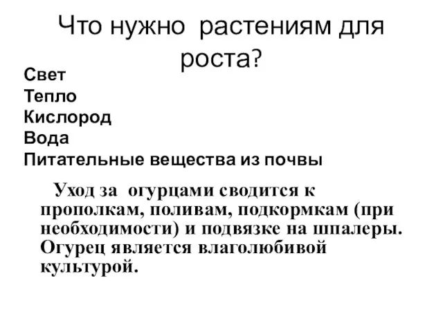 Что нужно растениям для роста? Свет Тепло Кислород Вода Питательные вещества из