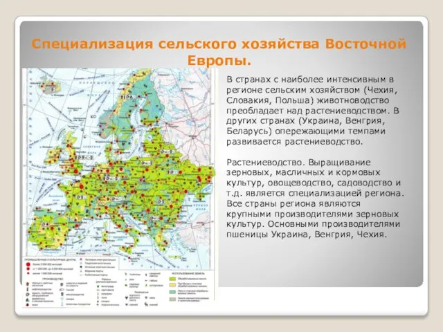 Специализация сельского хозяйства Восточной Европы. В странах с наиболее интенсивным в регионе