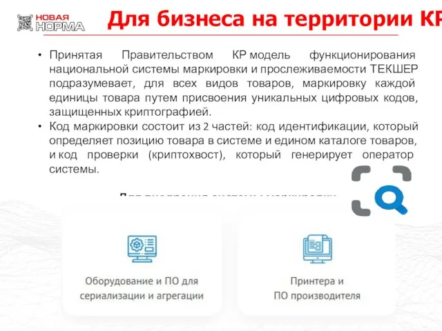 Для бизнеса на территории КР Принятая Правительством КР модель функционирования национальной системы