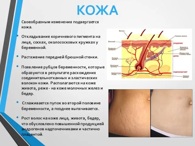 Своеобразным изменения подвергается кожа. Откладывание коричневого пигмента на лице, сосках, околососковых кружках