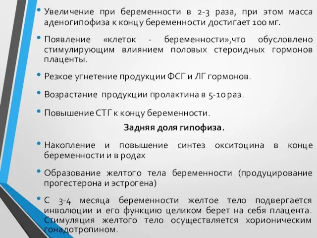 Передняя доля гипофиза. Увеличение при беременности в 2-3 раза, при этом масса