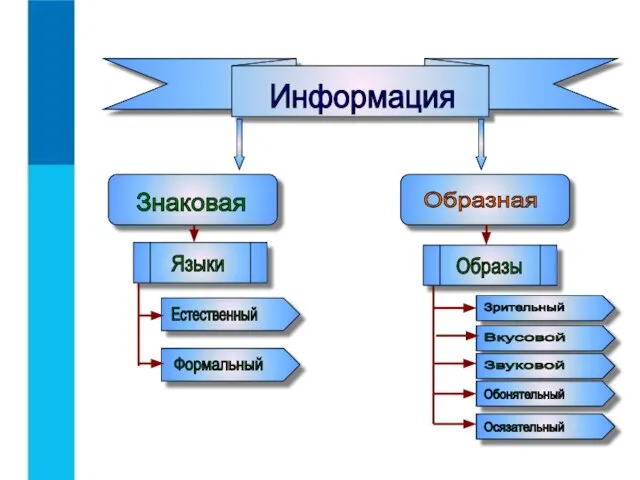 Знаковая Информация Образная Языки Образы Естественный Формальный Зрительный Вкусовой Звуковой Обонятельный Осязательный