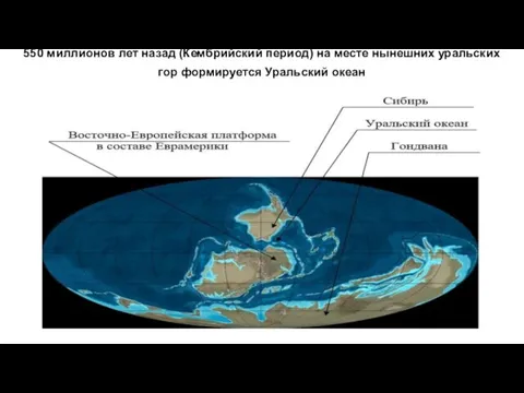 550 миллионов лет назад (Кембрийский период) на месте нынешних уральских гор формируется Уральский океан