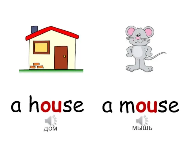 a house a mouse