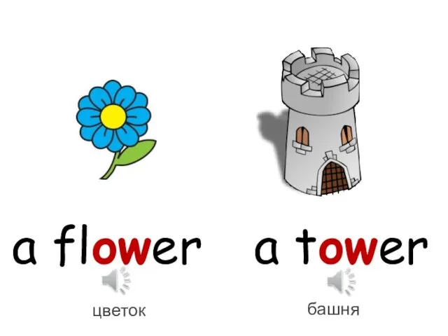 a flower a tower