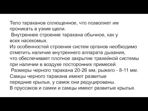 Тело тараканов сплющенное, что позволяет им проникать в узкие щели. Внутреннее строение