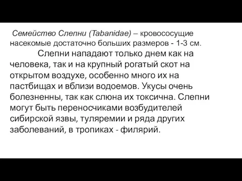 Семейство Слепни (Tabanidae) – кровососущие насекомые достаточно больших размеров - 1-3 см.