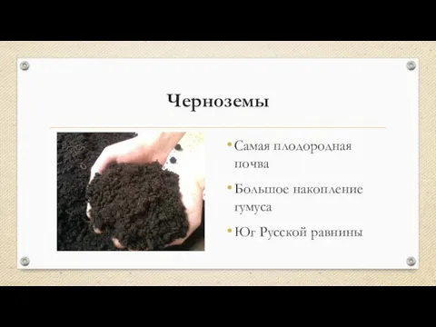 Черноземы Самая плодородная почва Большое накопление гумуса Юг Русской равнины