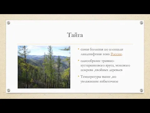 Тайга самая большая по площади ландшафтная зона России. однообразие травяно-кустарникового яруса, мохового