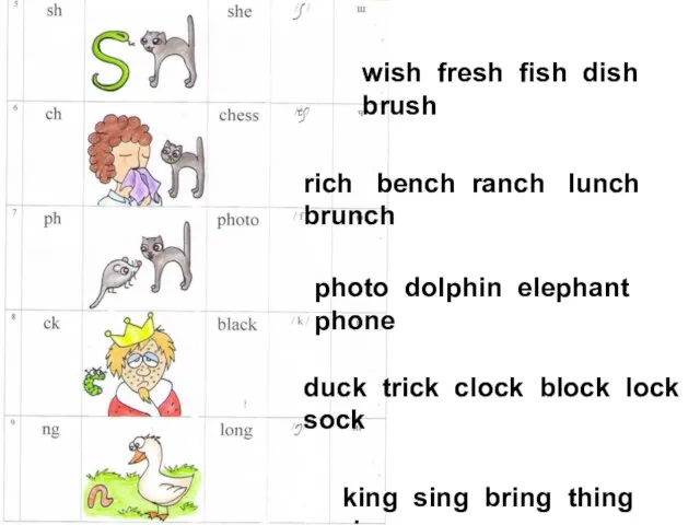 wish fresh fish dish brush rich bench ranch lunch brunch photo dolphin