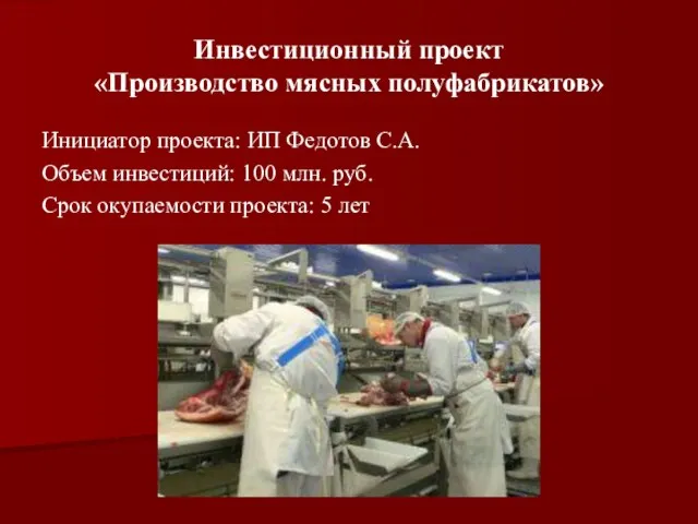 Инвестиционный проект «Производство мясных полуфабрикатов» Инициатор проекта: ИП Федотов С.А. Объем инвестиций: