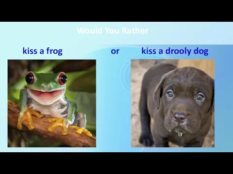 Would You Rather kiss a frog or kiss a drooly dog