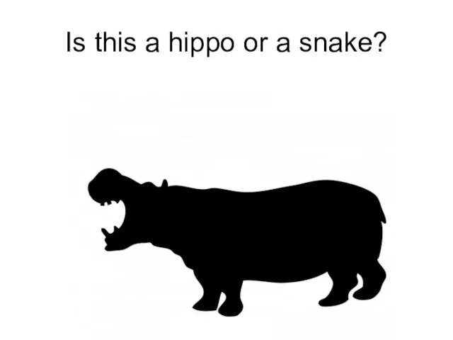 Is this a hippo or a snake?