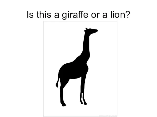 Is this a giraffe or a lion?