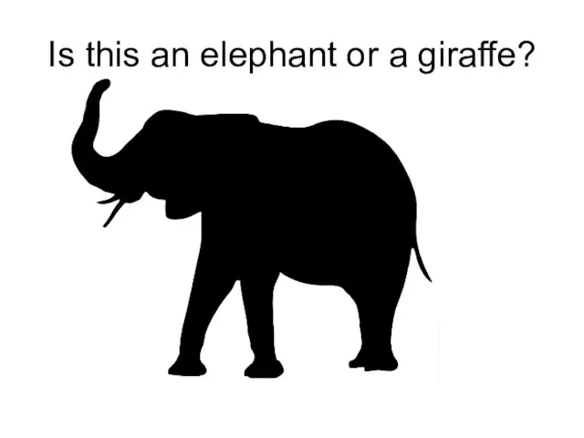 Is this an elephant or a giraffe?