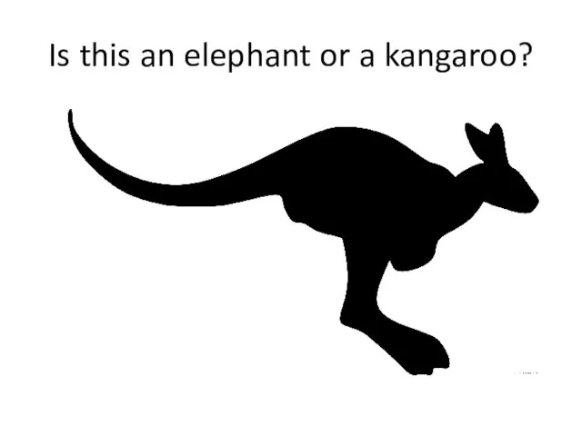 Is this an elephant or a kangaroo?