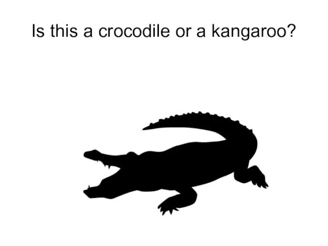 Is this a crocodile or a kangaroo?