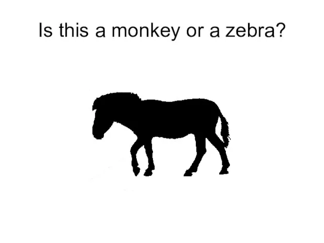 Is this a monkey or a zebra?