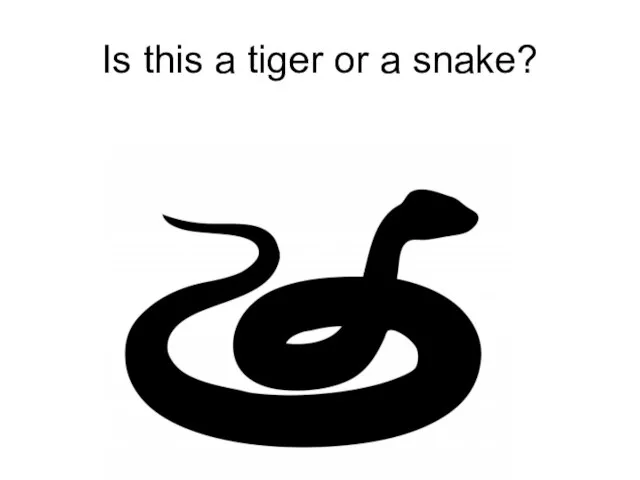 Is this a tiger or a snake?