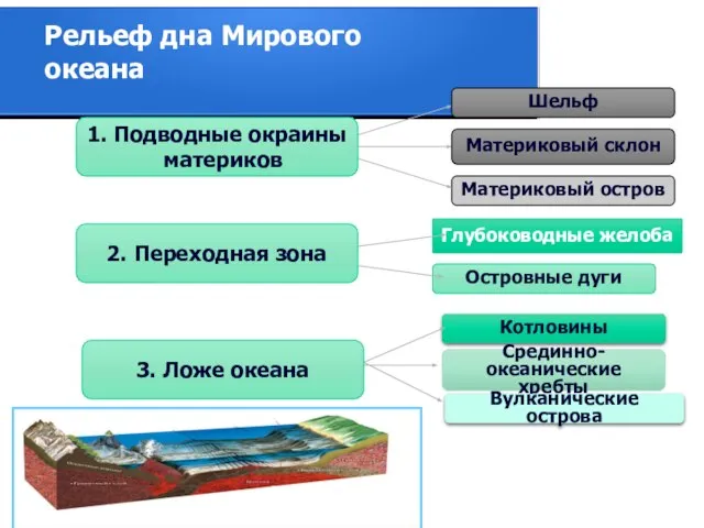Шельф Материковый склон Материковый остров Глубоководные желоба Островные дуги Котловины Срединно- океанические