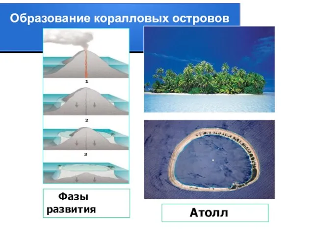 Атолл Фазы развития Образование коралловых островов