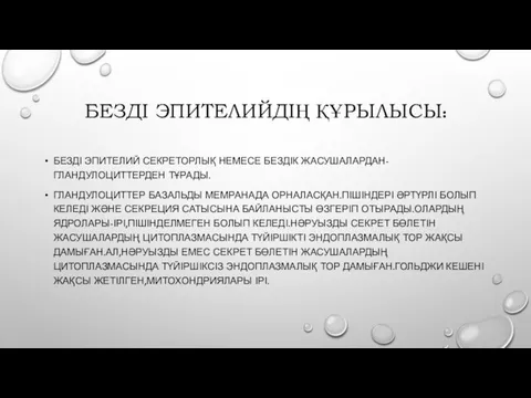 БЕЗДІ ЭПИТЕЛИЙДІҢ ҚҰРЫЛЫСЫ: БЕЗДІ ЭПИТЕЛИЙ СЕКРЕТОРЛЫҚ НЕМЕСЕ БЕЗДІК ЖАСУШАЛАРДАН-ГЛАНДУЛОЦИТТЕРДЕН ТҰРАДЫ. ГЛАНДУЛОЦИТТЕР БАЗАЛЬДЫ