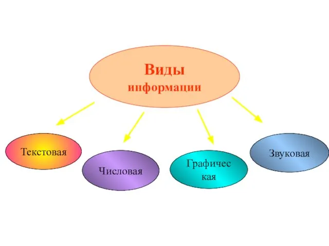 Виды информации Текстовая Числовая Графическая Звуковая