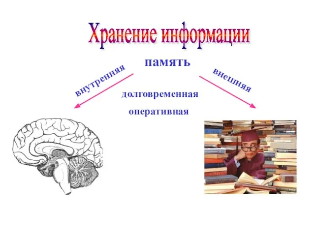 Хранение информации память внутренняя внешняя оперативная долговременная