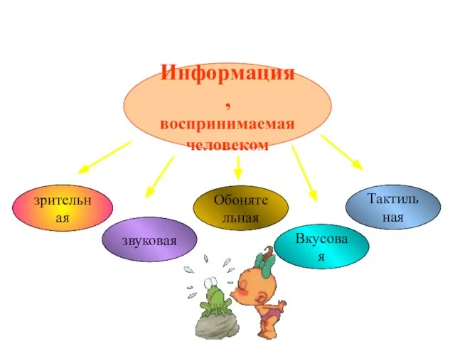 Информация, воспринимаемая человеком зрительная звуковая Обонятельная Вкусовая Тактильная