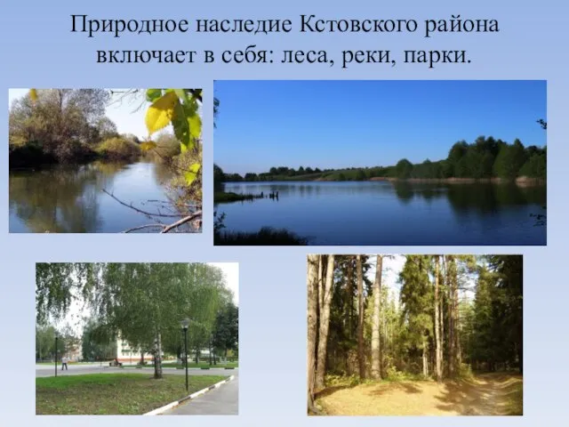 Природное наследие Кстовского района включает в себя: леса, реки, парки.