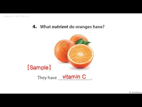 Insight Link L1 (CH1 Trees- L1) vitamin C [Sample]