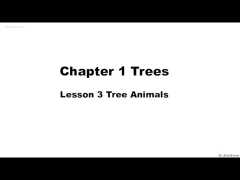 Chapter 1 Trees Lesson 3 Tree Animals Insight Link L1