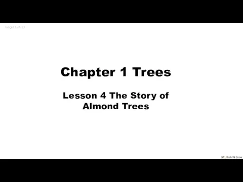 Chapter 1 Trees Lesson 4 The Story of Almond Trees Insight Link L1