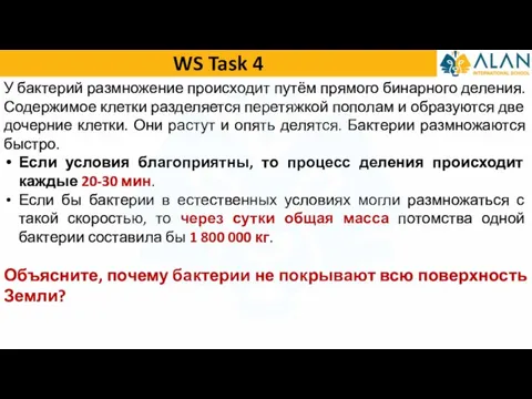 WS Task 4 У бактерий размножение происходит путём прямого бинарного деления. Содержимое