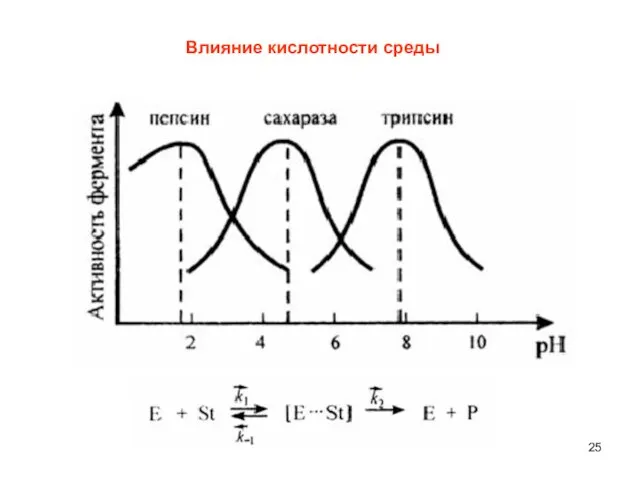 Влияние кислотности среды