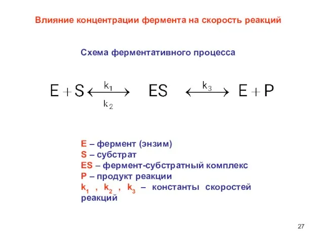 Влияние концентрации фермента на скорость реакций Схема ферментативного процесса Е – фермент