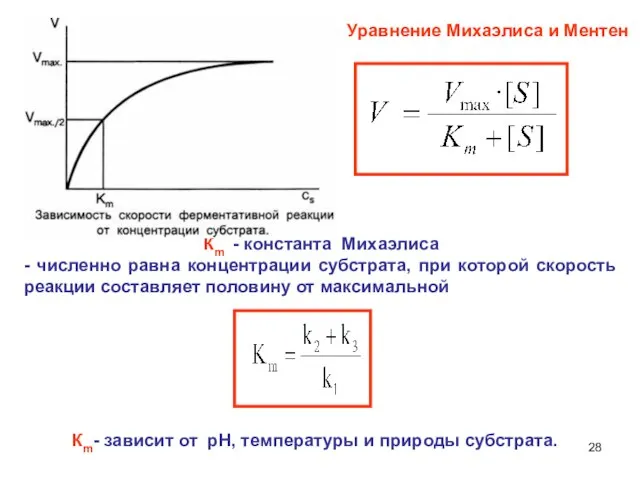 Кm - константа Михаэлиса - численно равна концентрации субстрата, при которой скорость