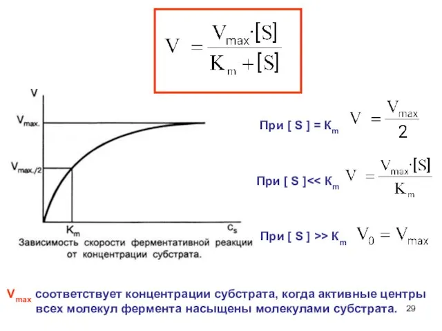 При [ S ] При [ S ] >> Кm При [