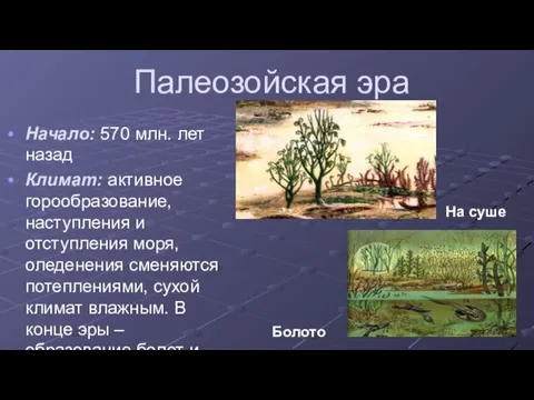 Палеозойская эра Начало: 570 млн. лет назад Климат: активное горообразование, наступления и