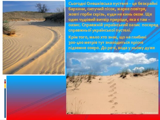 Сьогодні Олешківська пустеля – це безкрайні бархани, сипучий пісок, жарке повітря, жовті
