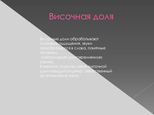 Височная доля Височные доли обрабатывают слуховые ощущения, звуки преобразуются в слова, понятные