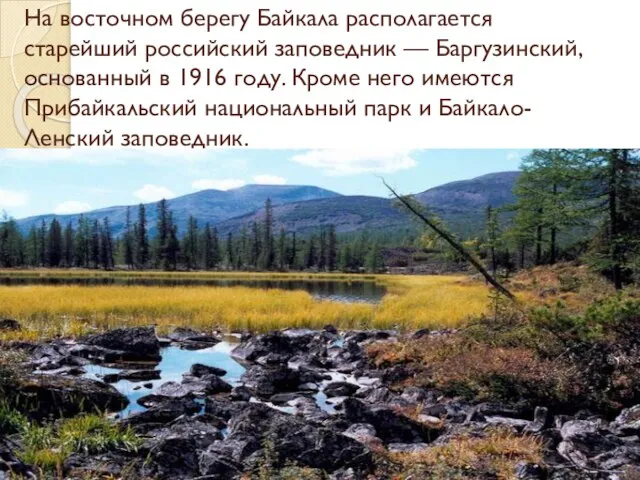 На восточном берегу Байкала располагается старейший российский заповедник — Баргузинский, основанный в