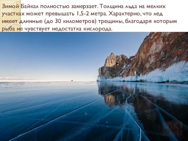 Зимой Байкал полностью замерзает. Толщина льда на мелких участках может превышать 1,5-2