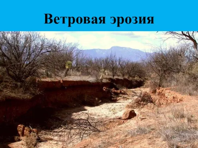 Ветровая эрозия