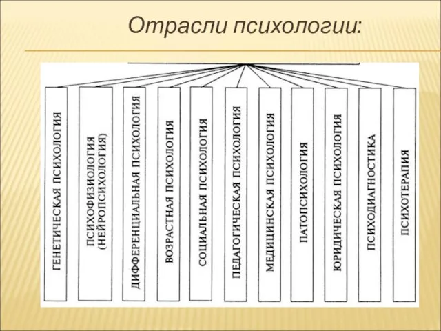 Отрасли психологии: