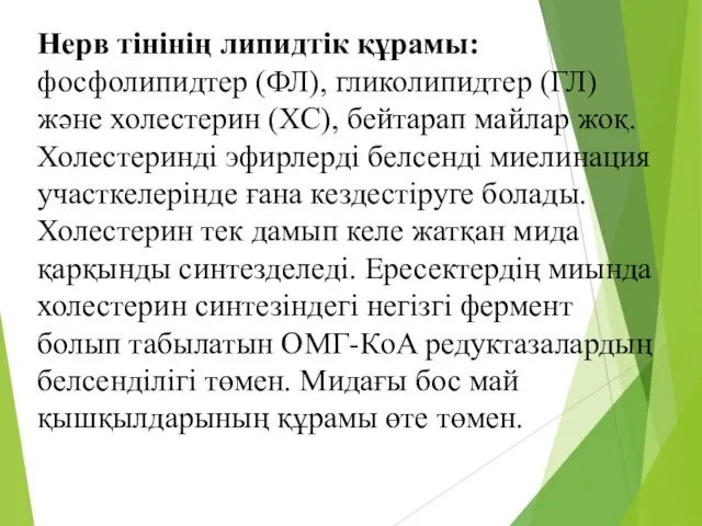 Нерв тінінің липидтік құрамы: фосфолипидтер (ФЛ), гликолипидтер (ГЛ) және холестерин (ХС), бейтарап