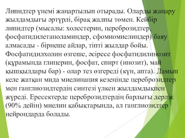 Липидтер үнемі жаңартылып отырады. Оларды жаңару жылдамдығы әртүрлі, бірақ жалпы төмен. Кейбір